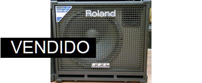 Roland D-BASS 115X